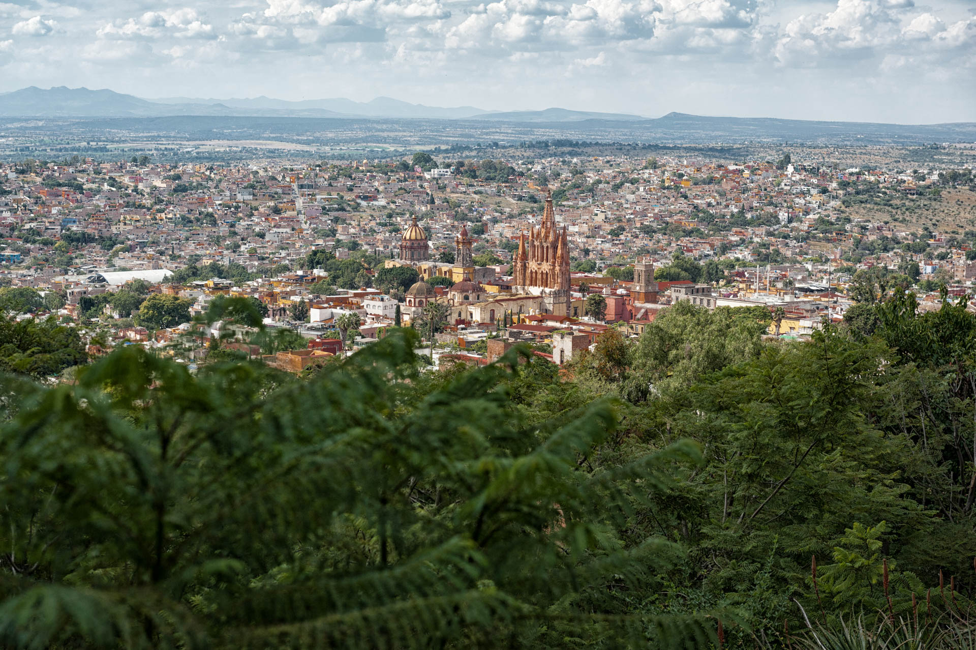 Aerial view of San Miguel