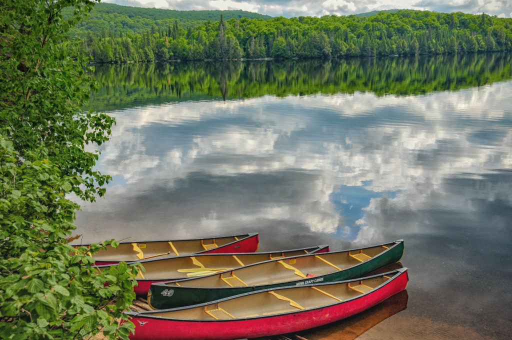 Canoes @ Craig Lake, Algonquin