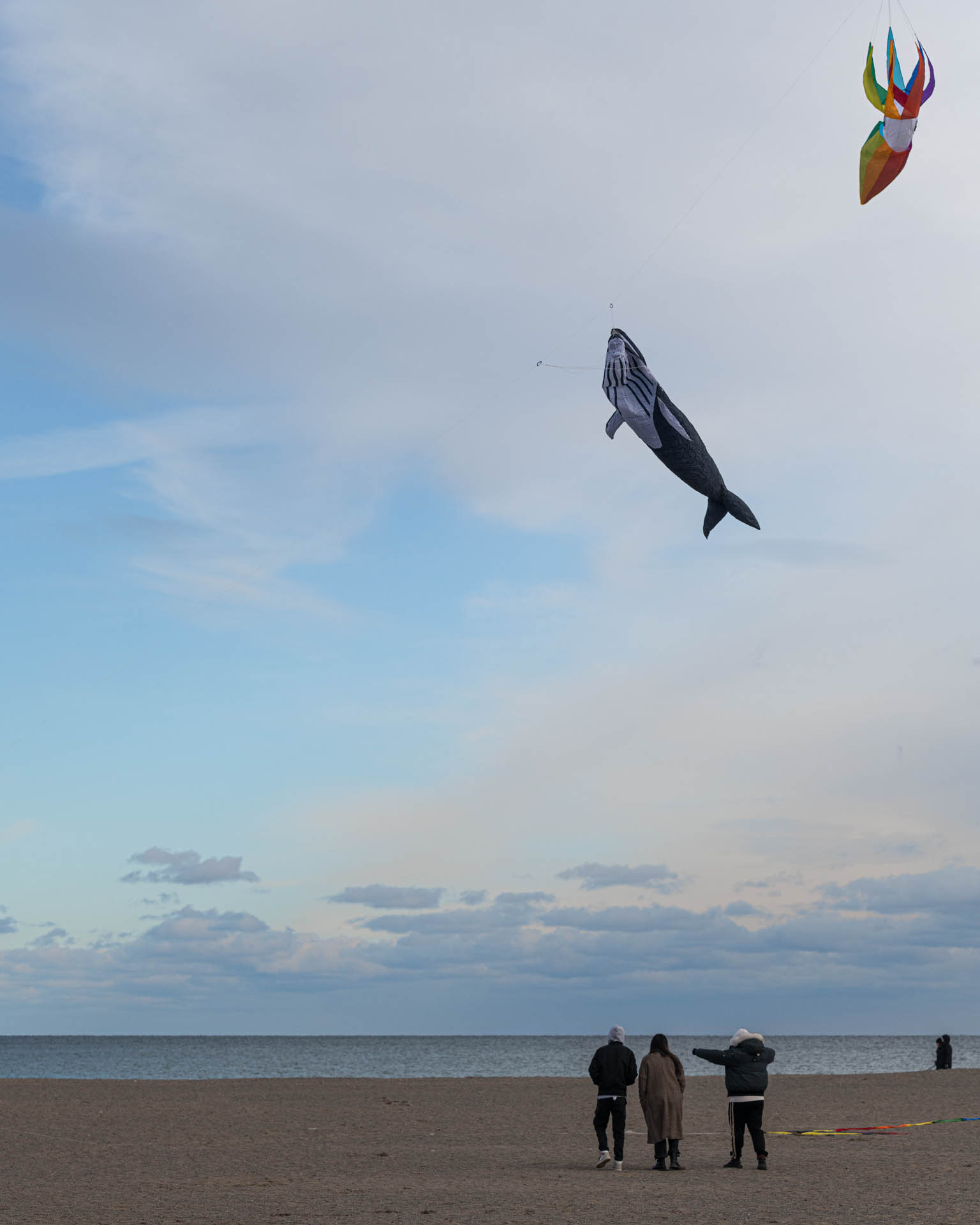 Flying kites at Woodbine Beach