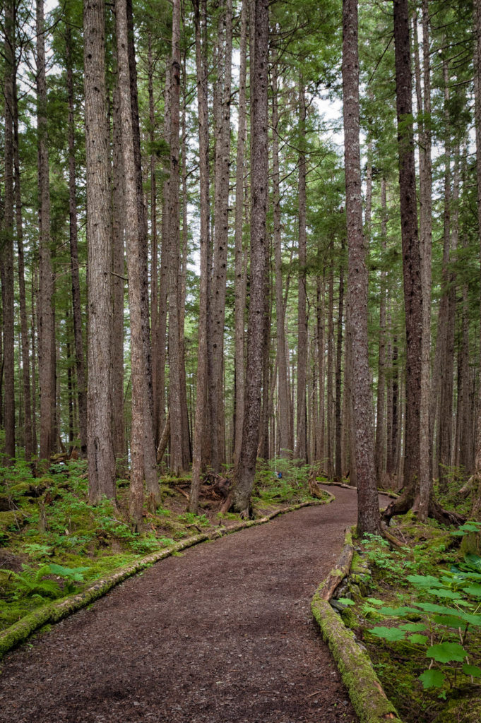 Hiking trail at Icy Strait Point