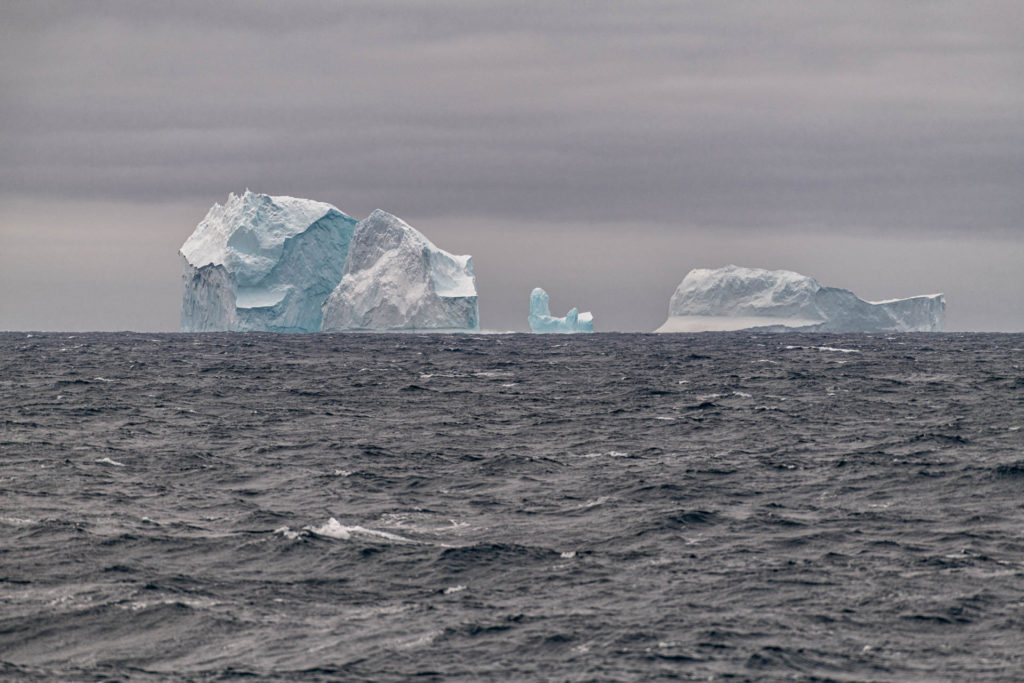 Icebergs in the Drake Passage
