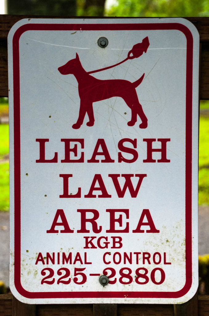 KGB Animal Control!