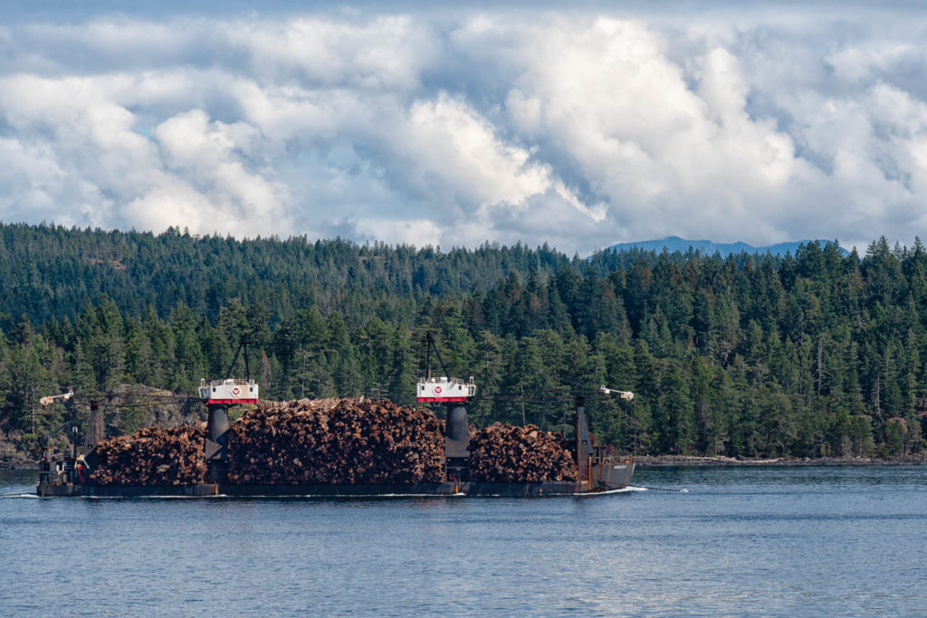Logging barge near Campbell River
