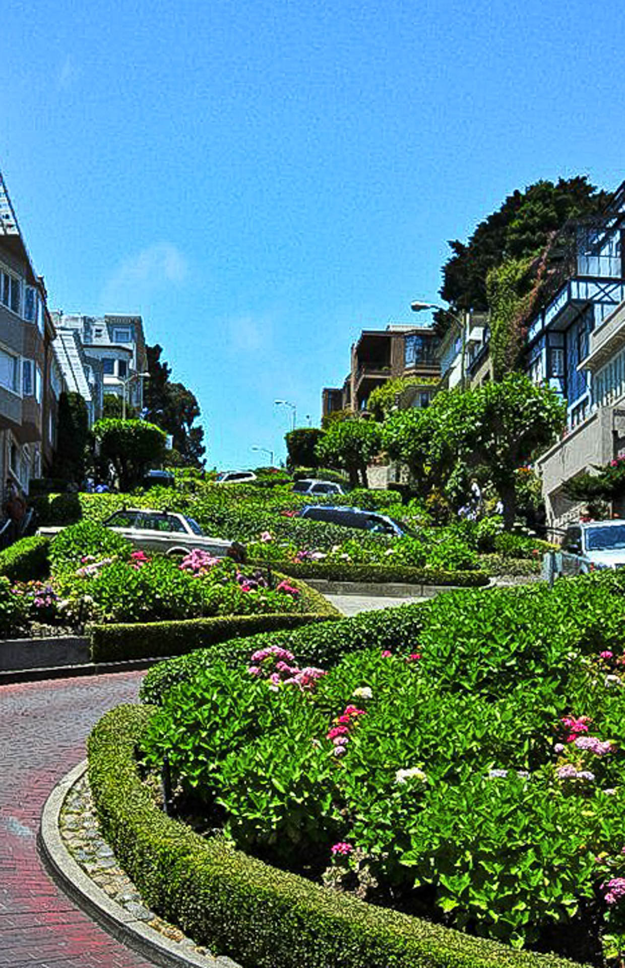 Lombard Street... the most crooked street in the world!