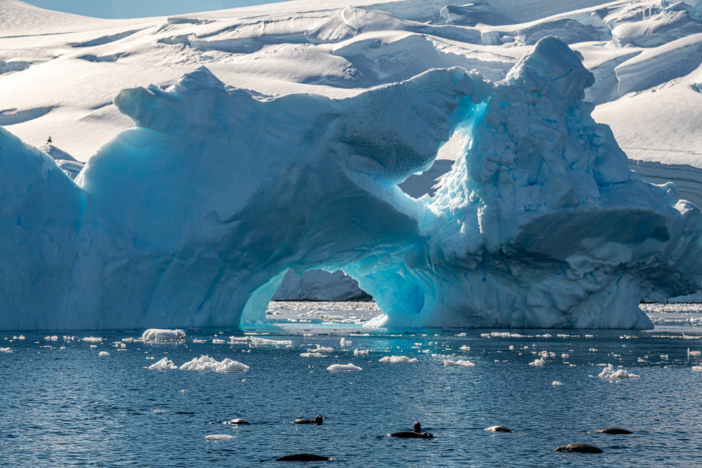 Penguins and iceberg at Hughes Bay