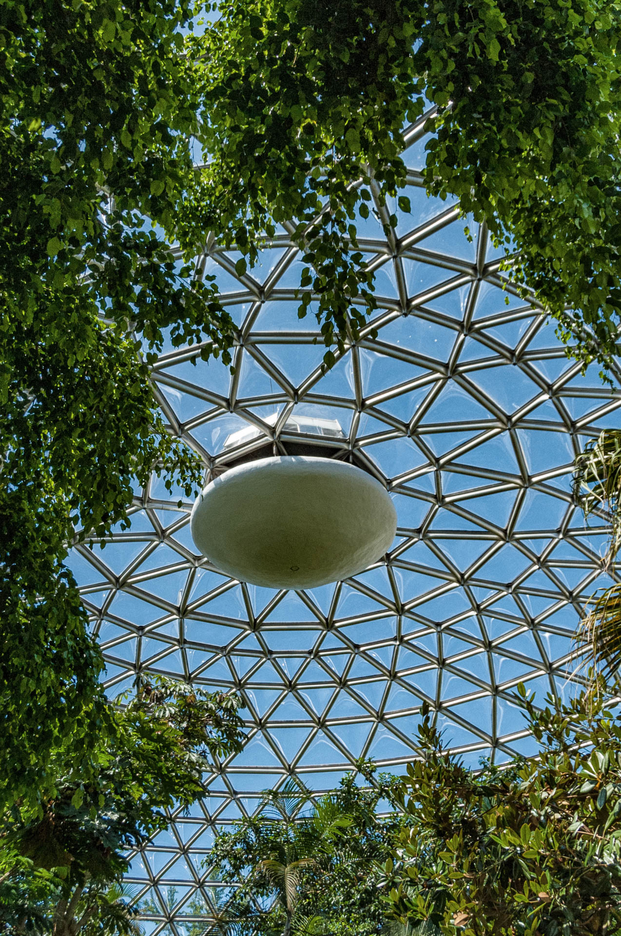 Skylight at the VanDusen Botanical Gardens, Vancouver