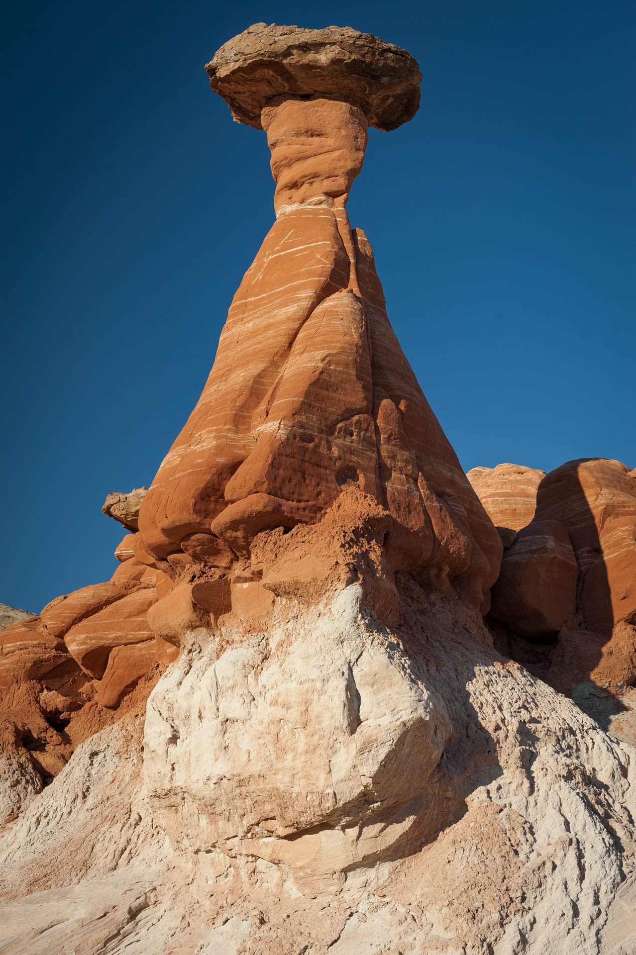 Toadstool at Grand Staircase-Escalante, Page