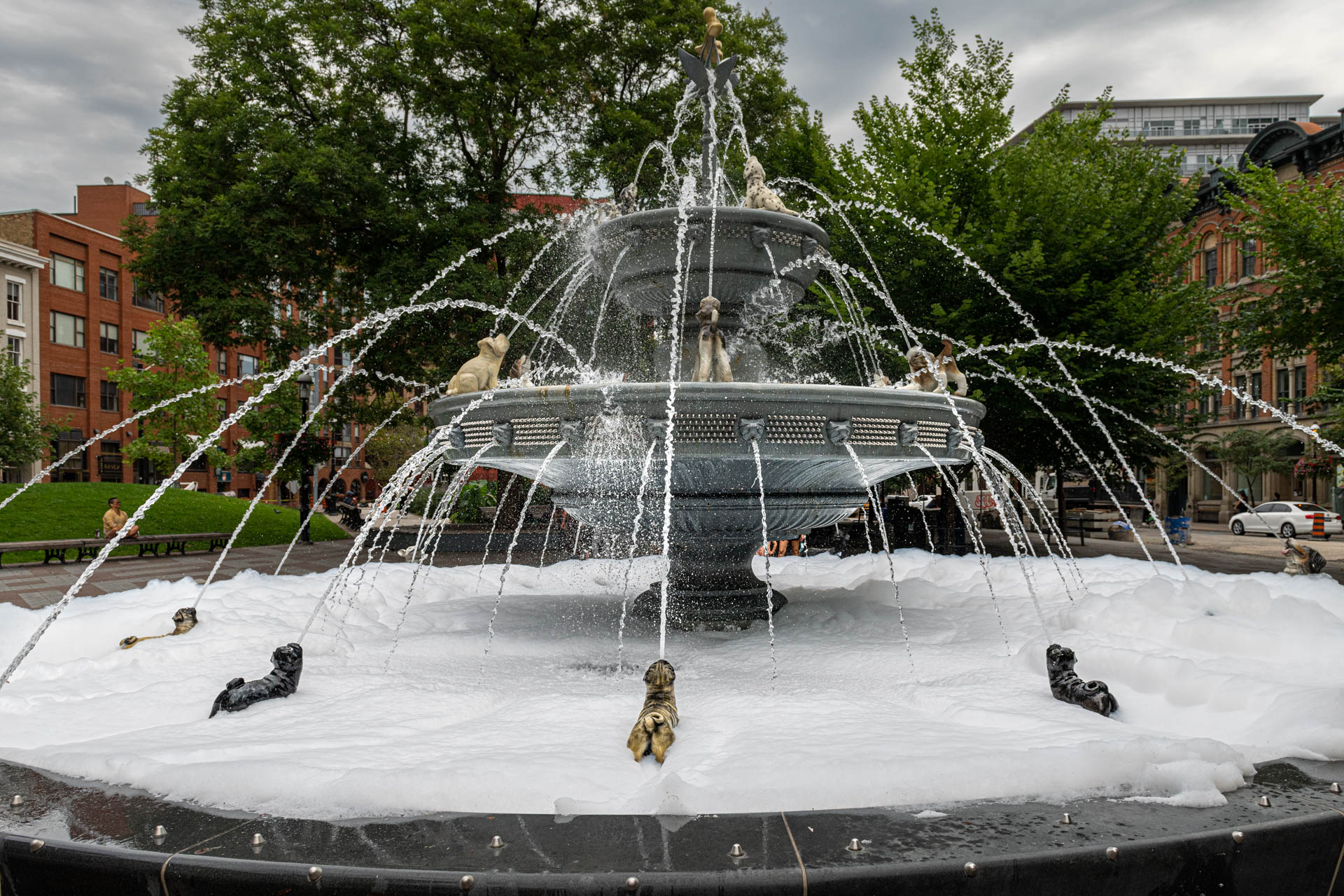 Dog Fountain at Berczy Park