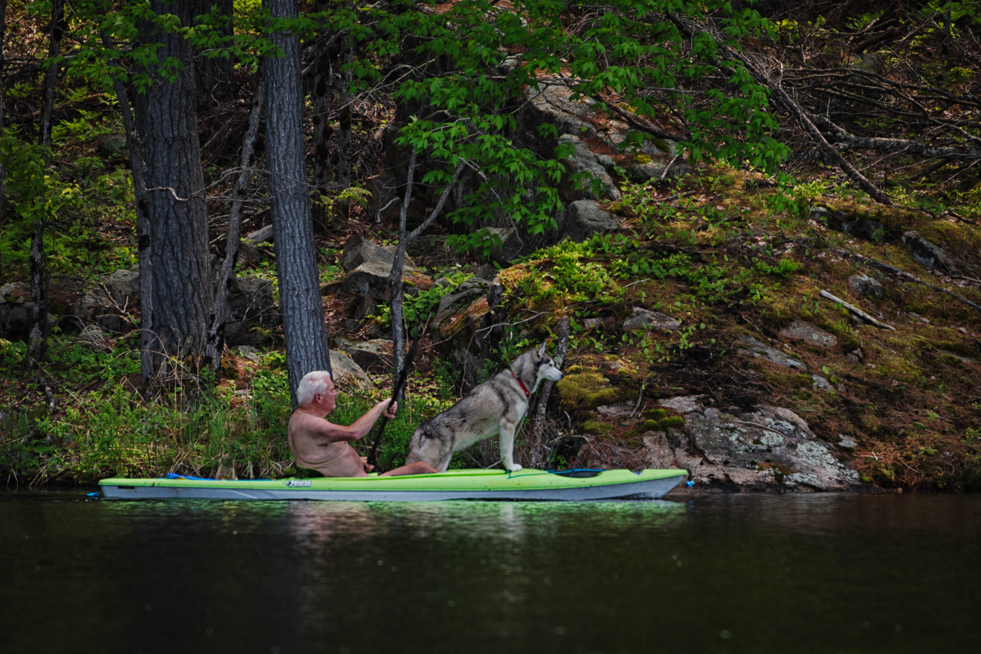 Kayaker and Husky on Raccoon Lake