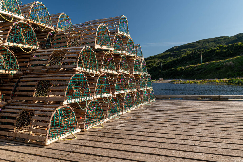 Lobster Traps at Trout River