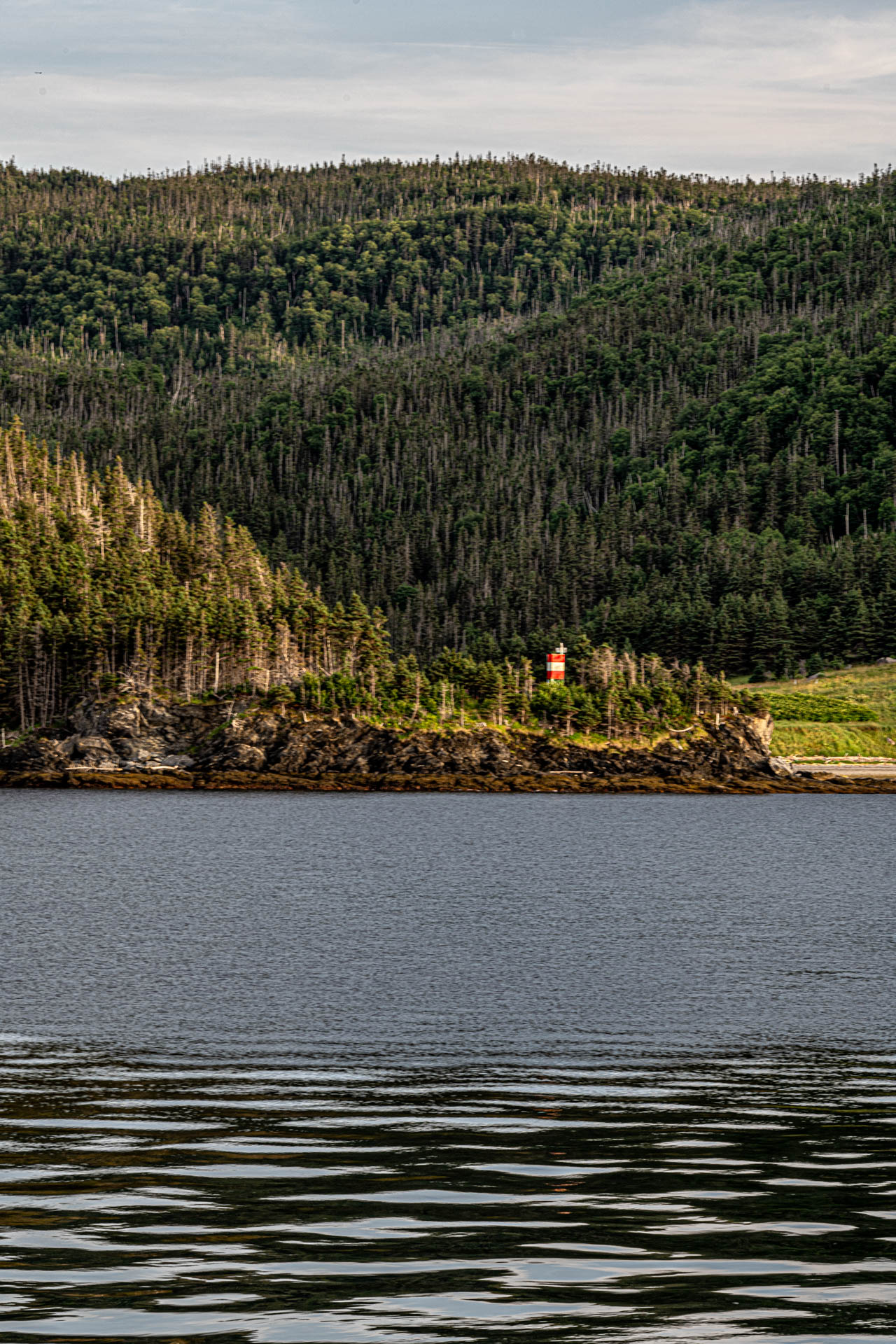 View from Norris Point