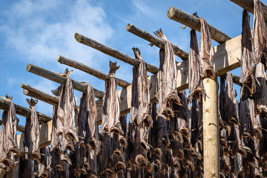 Cod drying on the rack