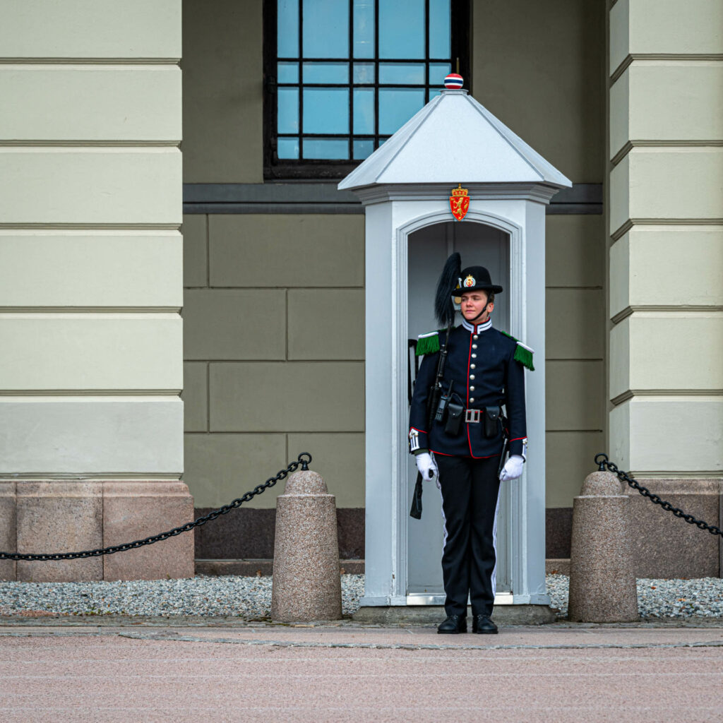 Guard at the Royal Palace - Oslo