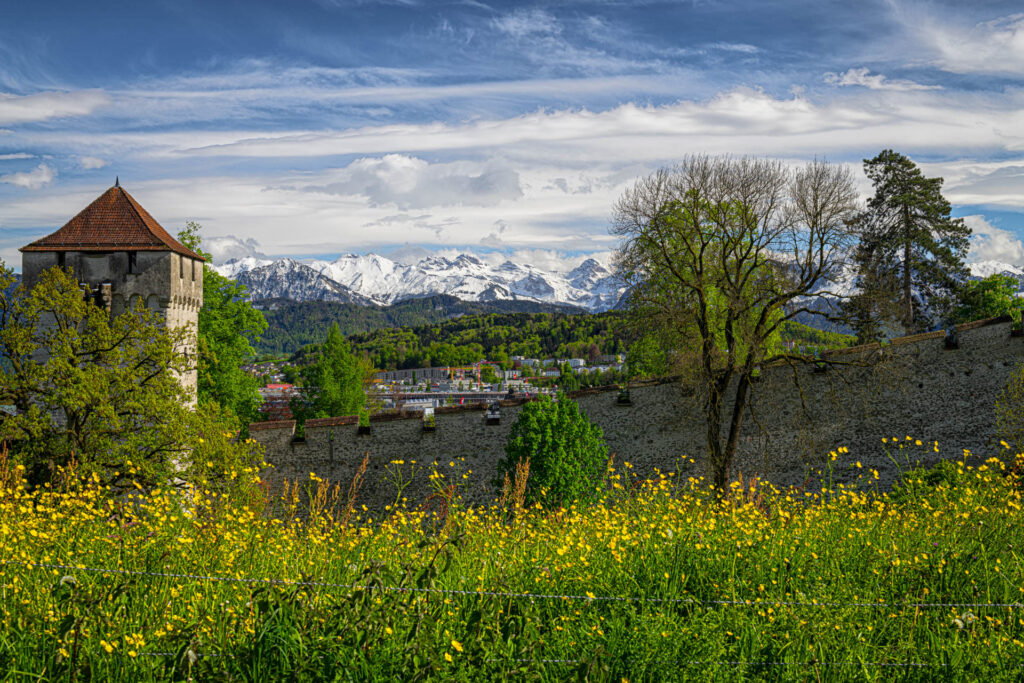 Musegg Wall and one of nine towers