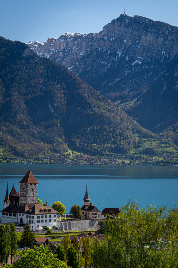 Spiez Castle and church