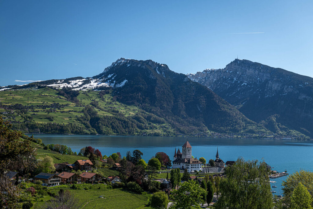 Town of Speiz on Lake Thun