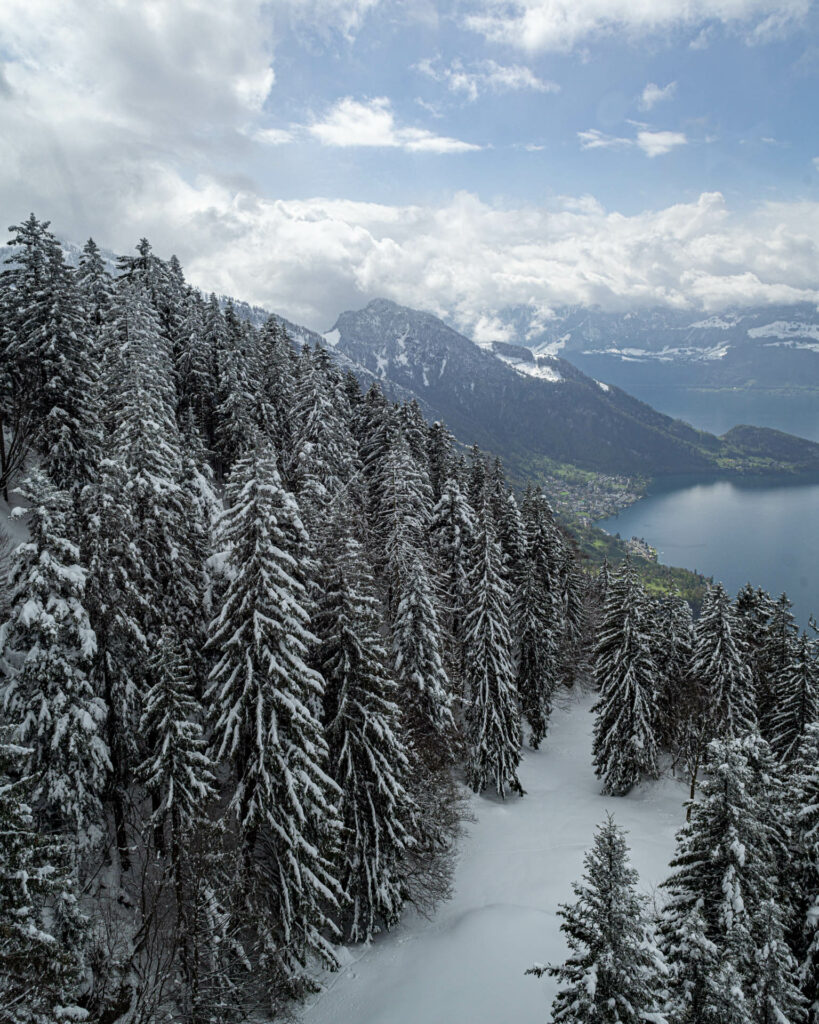 View of Lake Lucerne from the Cable Car on Rigi Mountain