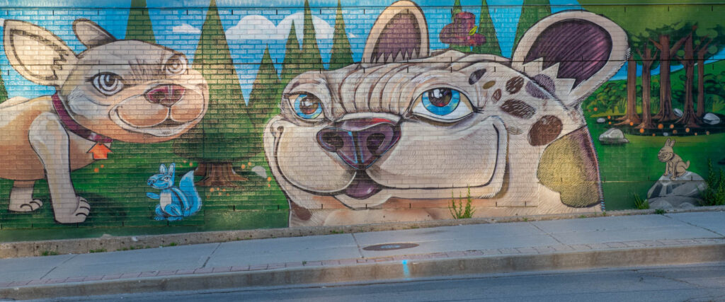 Wall mural - Toronto Humane&#039;s Society