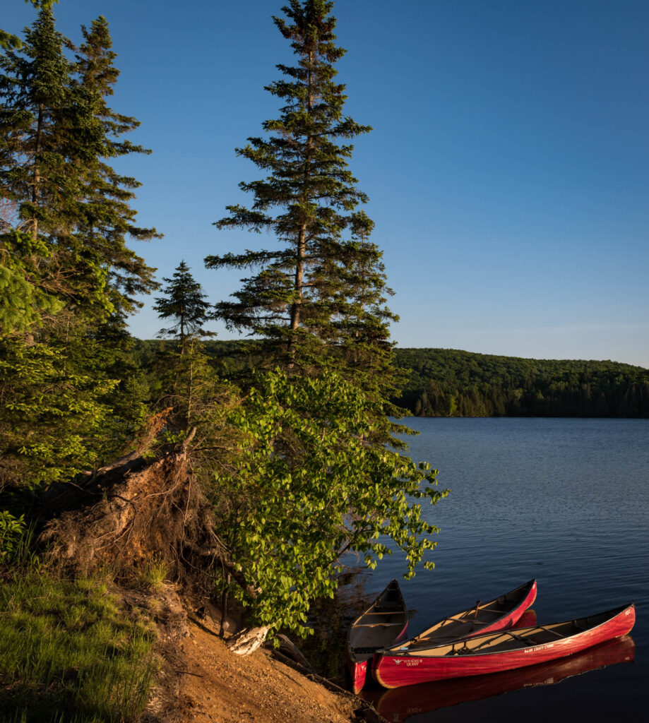 Craig Lake campsite