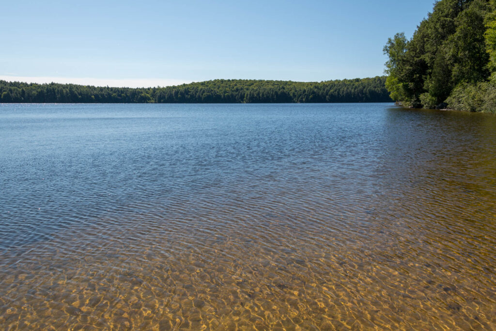 East Bay on North Tea Lake