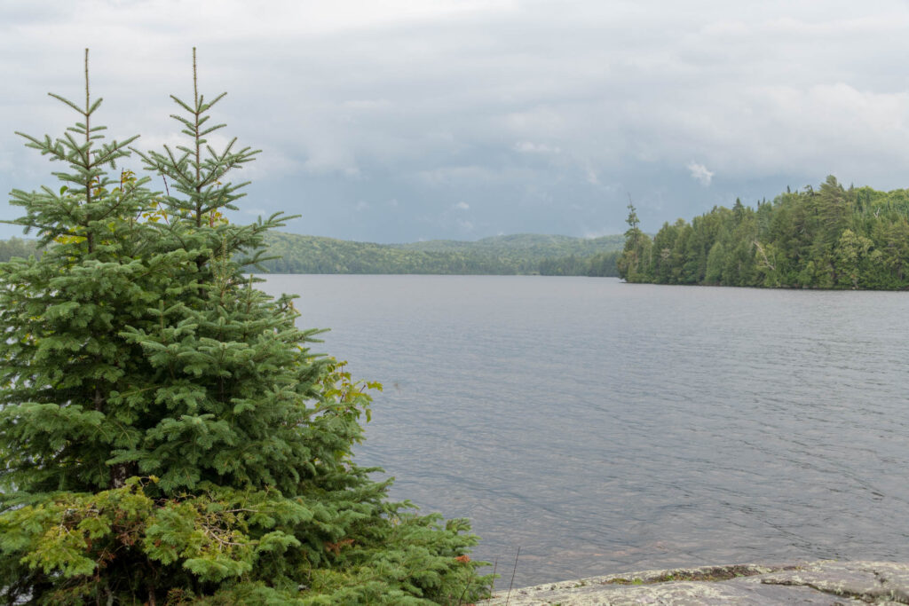 View from Campsite on Three Mile Lake