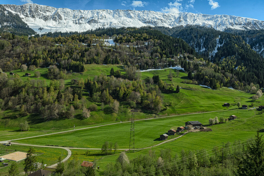 Alpine valley | Focus On Mee | Robert Mee