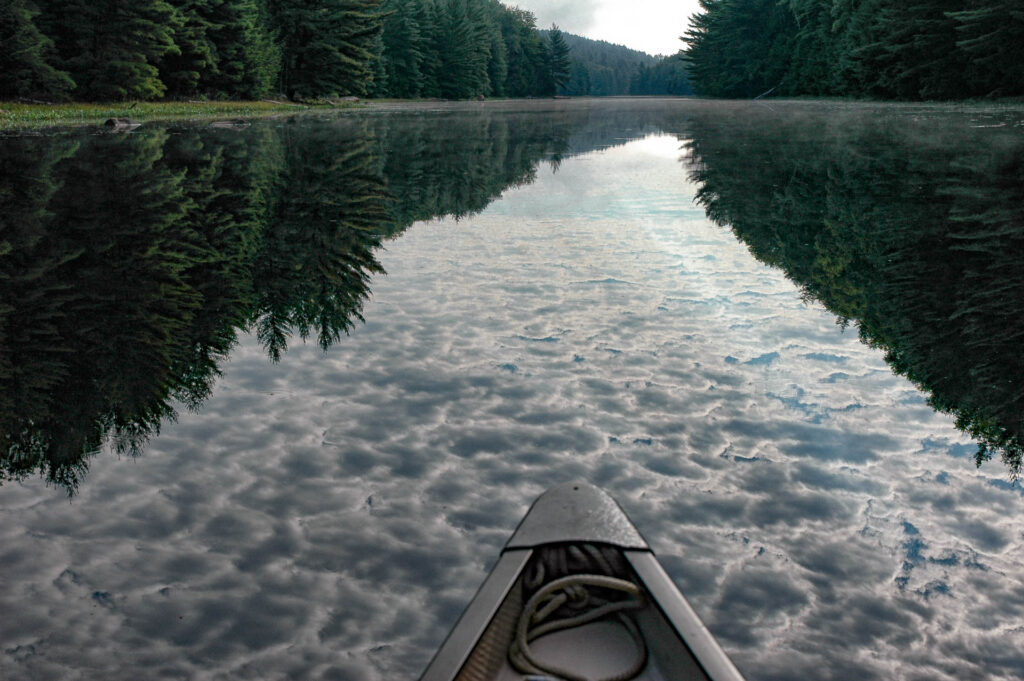 Bottle Creek | Focus On Mee | Robert Mee