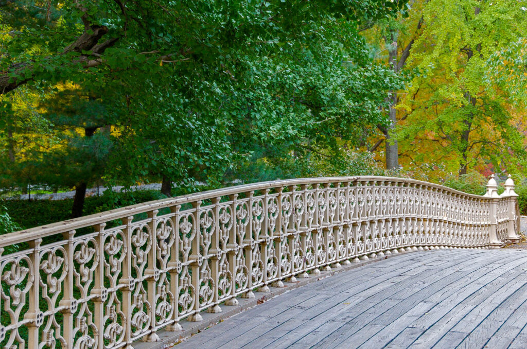 Bridge in Central Park | Focus On Mee | Robert Mee