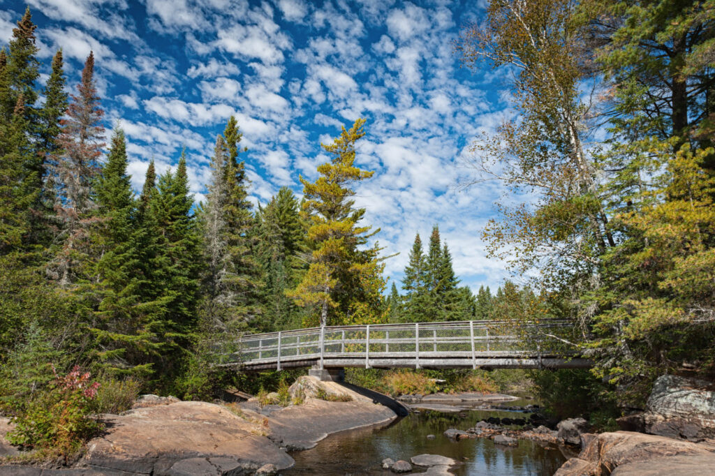 Bridge over Little Madawaska River, Algonquin PP | Focus On Mee | Robert Mee