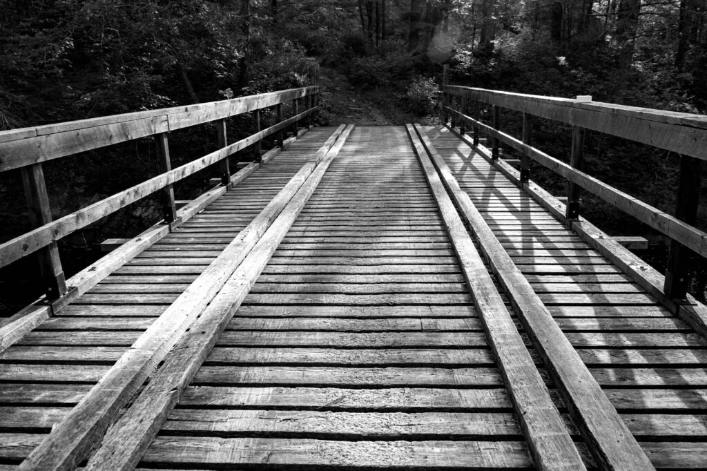 Bridge over the Mississauga River | Focus On Mee | Robert Mee