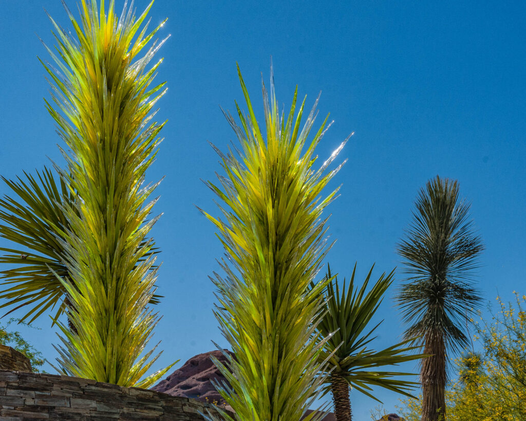 Chihuly glass sculpture at the Desert Botanical Gardens, Phoenix | Focus On Mee | Robert Mee