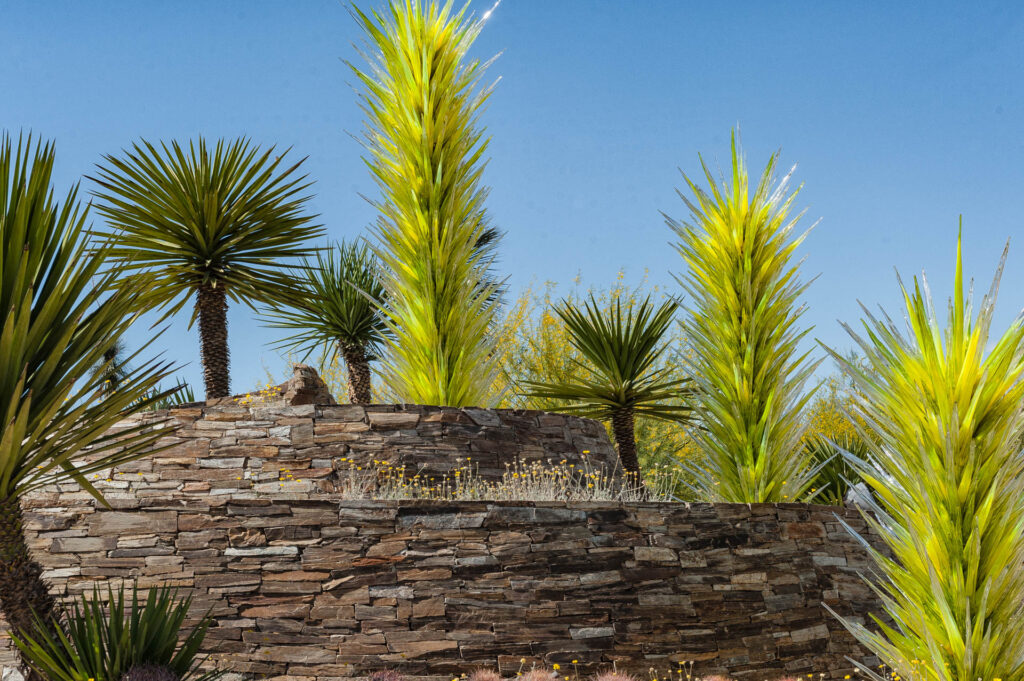 Chihuly glass sculpture at the Desert Botanical Gardens, Phoenix | Focus On Mee | Robert Mee