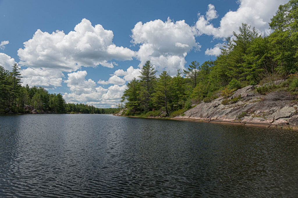 Crab Lake - KHPP | Focus On Mee | Robert Mee