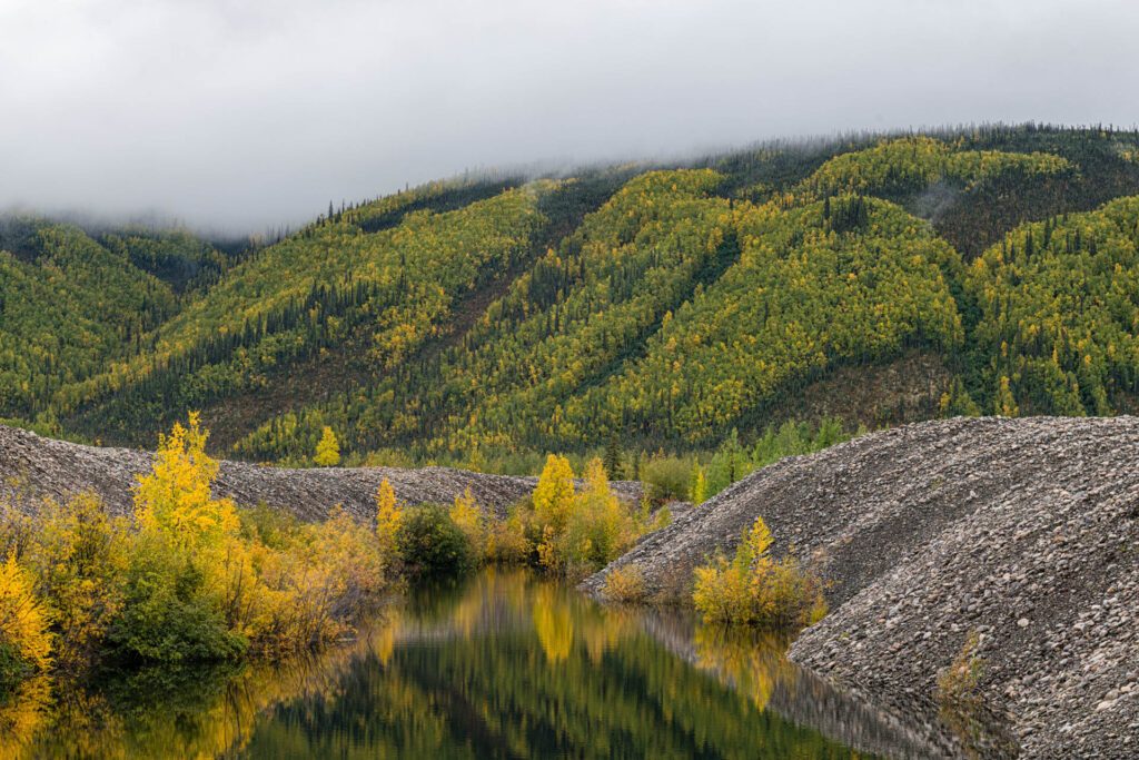 Dawson - Rock tailings dredged during the Klondike Gold rush! | Focus On Mee | Robert Mee