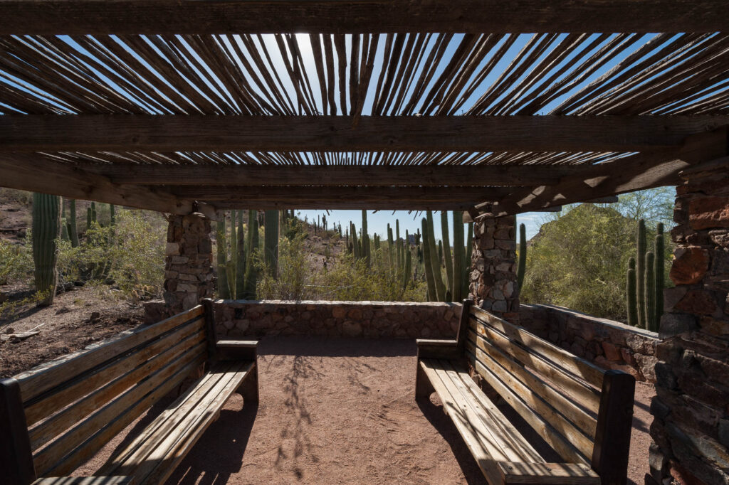 Desert Botanical Gardens, Phoenix | Focus On Mee | Robert Mee