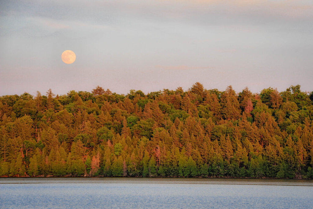 Evening on Ralph Bice Lake | Focus On Mee | Robert Mee