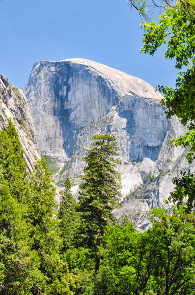 Half Dome | Focus On Mee | Robert Mee