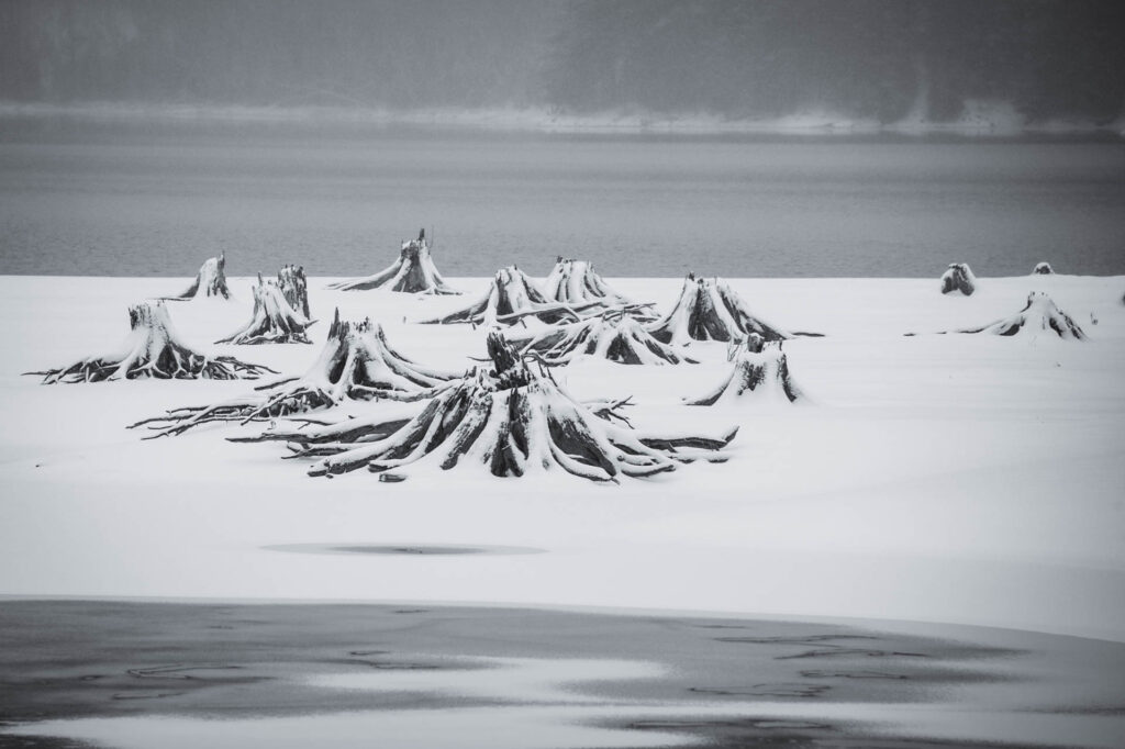 Haliburton, Ontario | Focus On Mee | Robert Mee