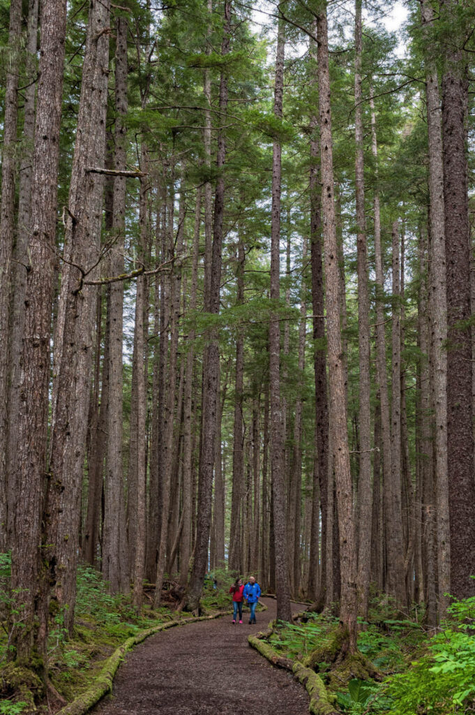 Icy Strait Point, Alaska | Focus On Mee | Robert Mee