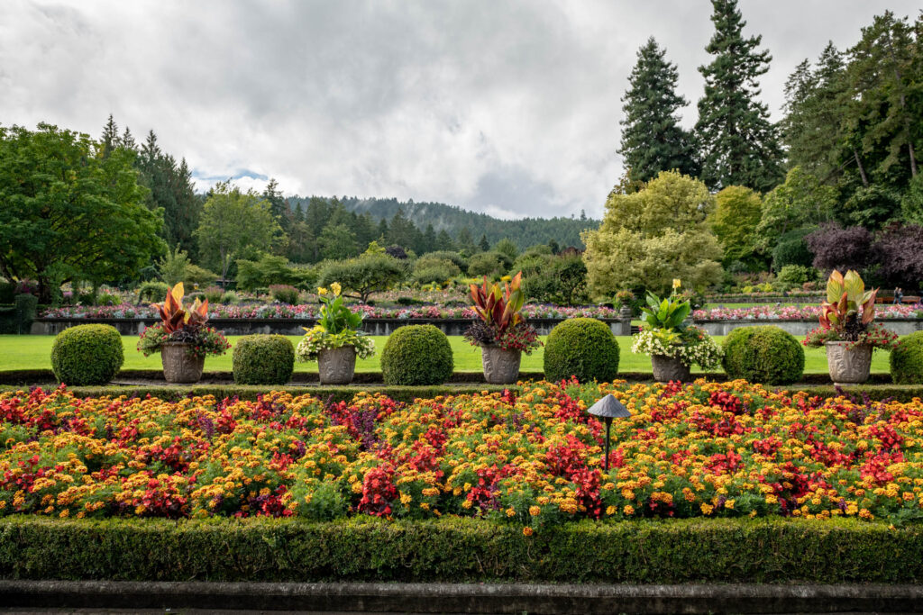 Italian Garden at Butchart Gardens