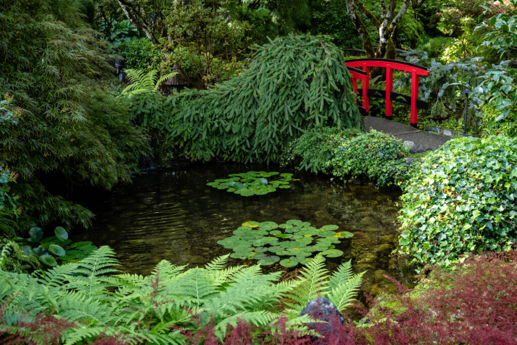 Japanese Garden at Butchart Gardens | Focus On Mee | Robert Mee