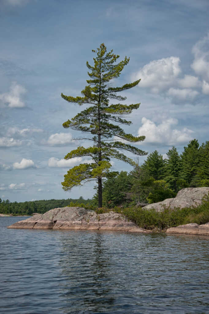 Kawartha Highlands PP | Focus On Mee | Robert Mee