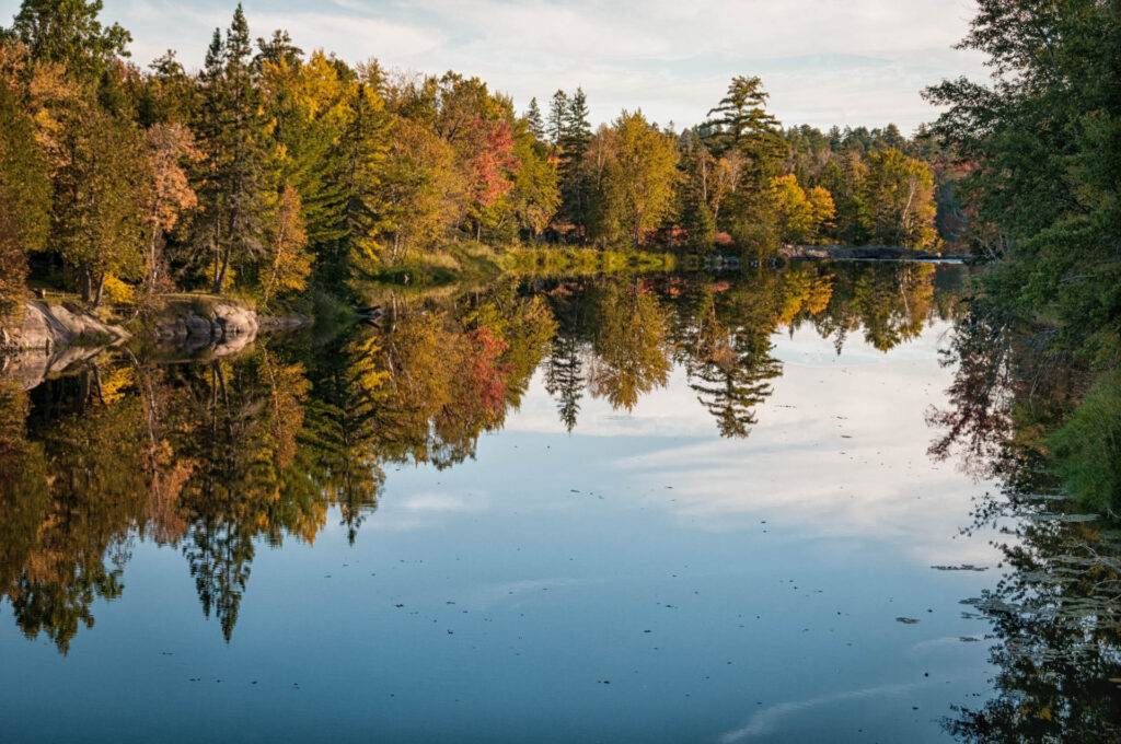 Killarney PP | Focus On Mee | Robert Mee