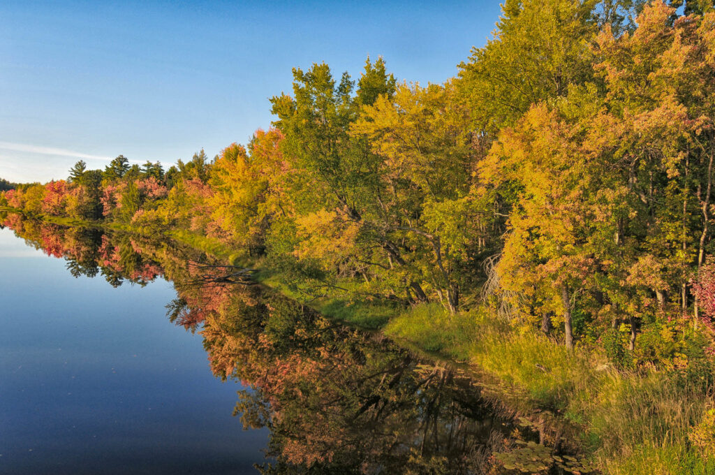 Killarney PP | Focus On Mee | Robert Mee