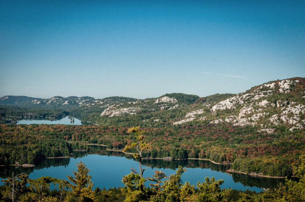 Killarney PP | Focus On Mee | Robert Mee