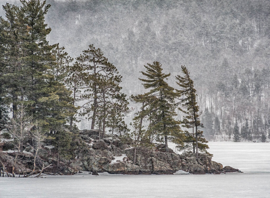 Lake of Two Rivers, Algonquin PP