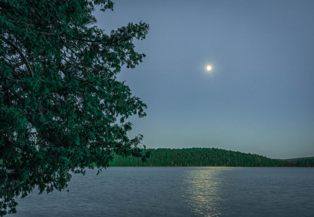 Late evening on Ralph Bice Lake | Focus On Mee | Robert Mee