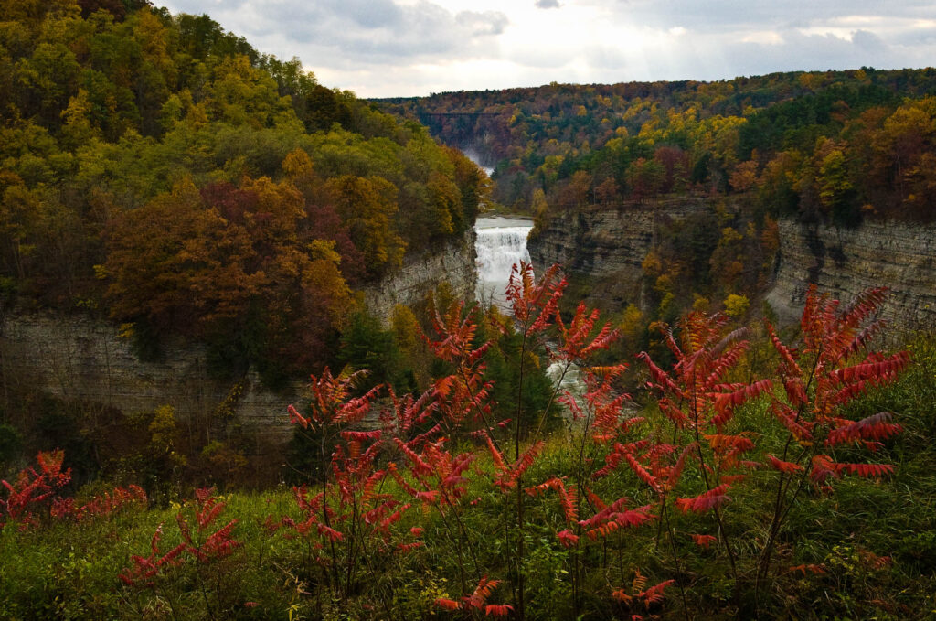 Letchworth State Park,  NY | Focus On Mee | Robert Mee