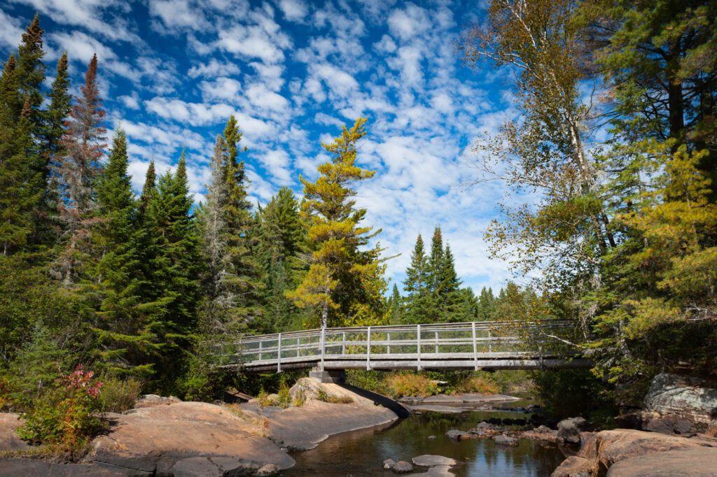 Little Madawaska River | Focus On Mee | Robert Mee