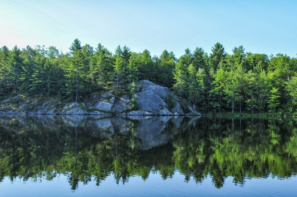 Long Lake | Focus On Mee | Robert Mee